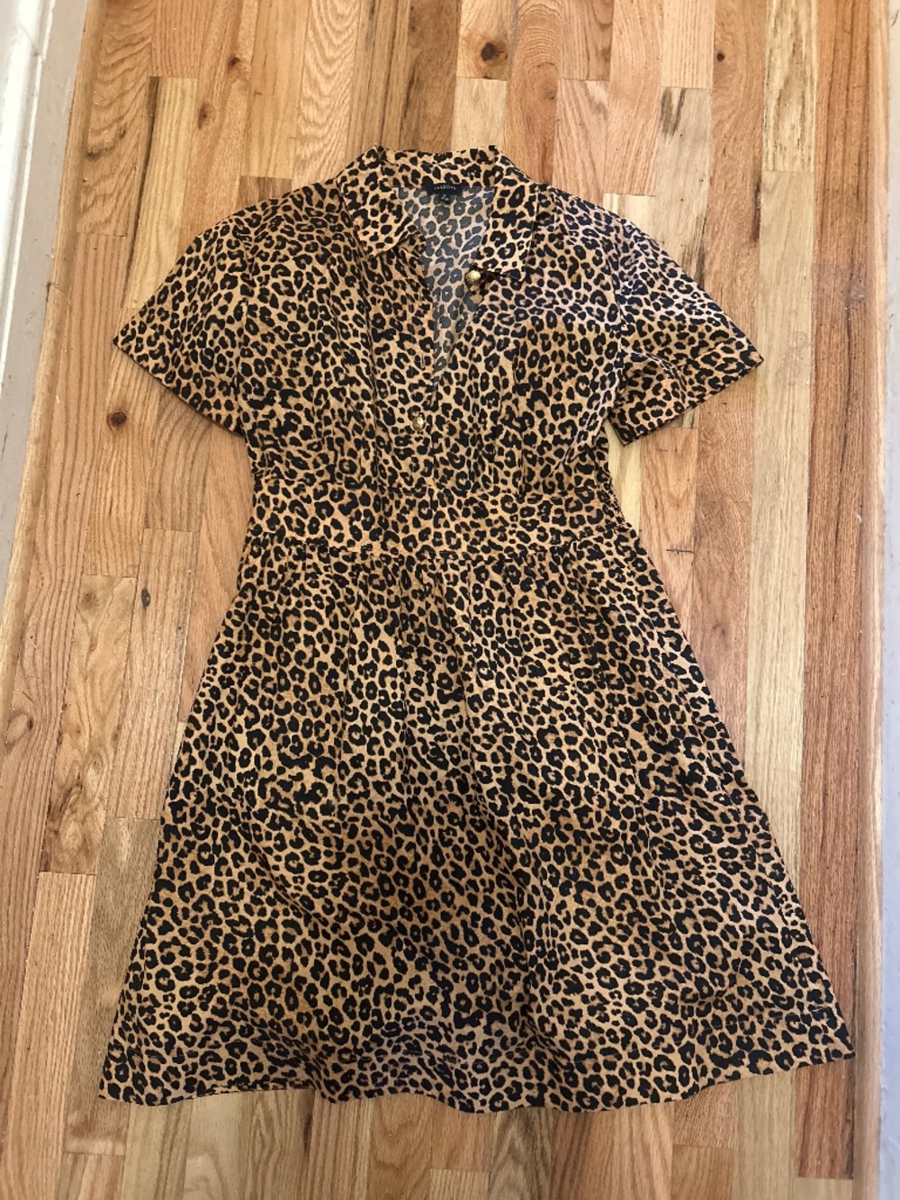 Size 8 collared animal print dress with buttons